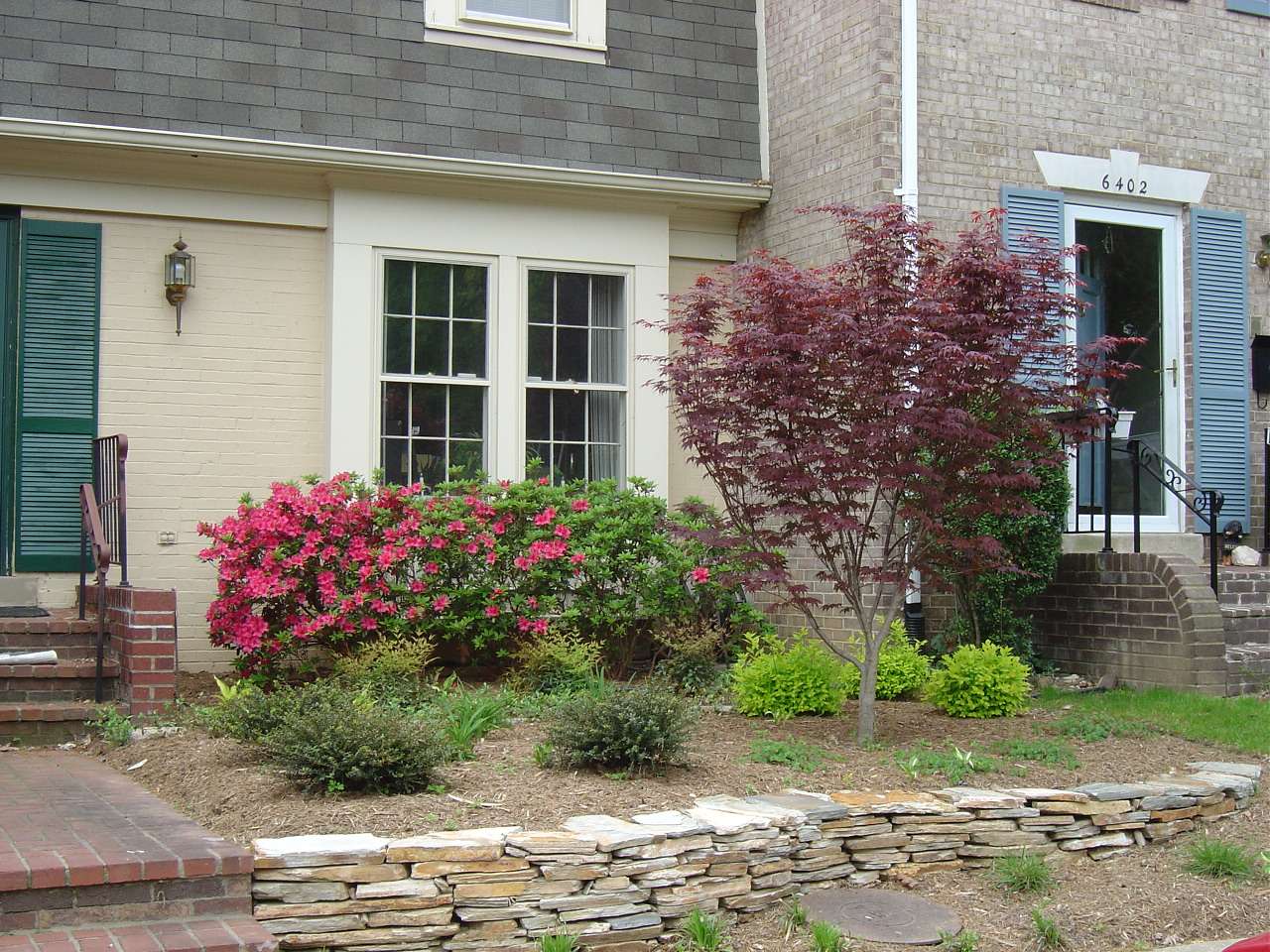 landscape ideas for townhouse